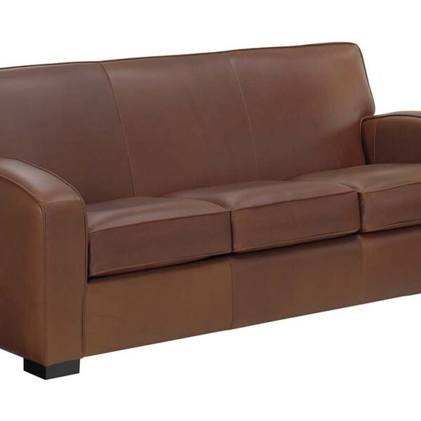 Hayden 81 Inch Contemporary Leather Sofa
