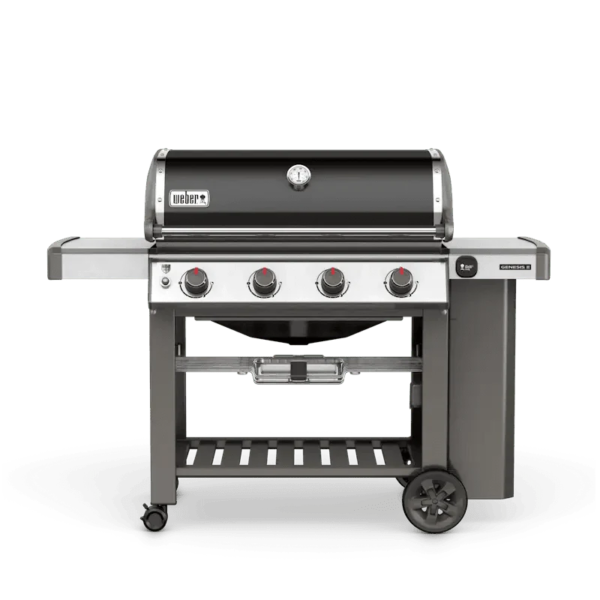 Weber Genesis II E-410 NGs